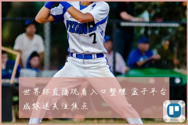 世界杯直播观看入口整理 盒子平台成球迷关注焦点