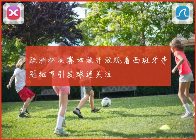 欧洲杯决赛回放开放观看西班牙夺冠细节引发球迷关注