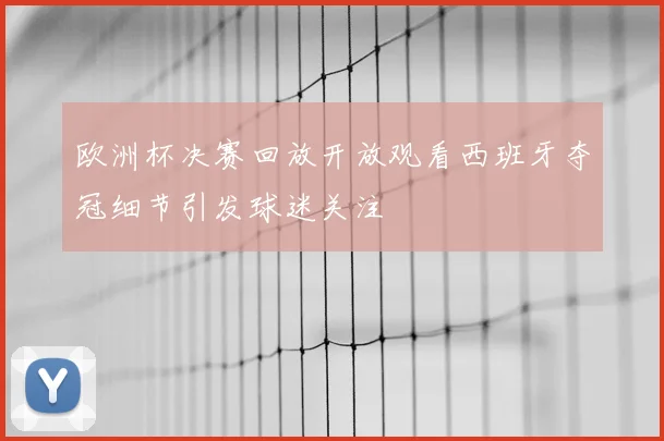 欧洲杯决赛回放开放观看西班牙夺冠细节引发球迷关注