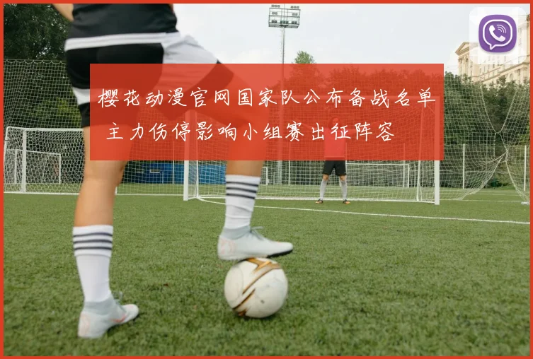 樱花动漫官网国家队公布备战名单 主力伤停影响小组赛出征阵容