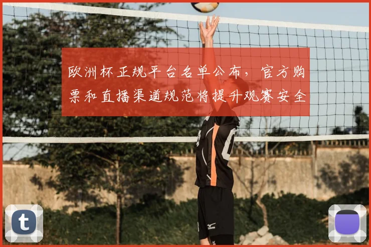 欧洲杯正规平台名单公布,官方购票和直播渠道规范将提升观赛安全