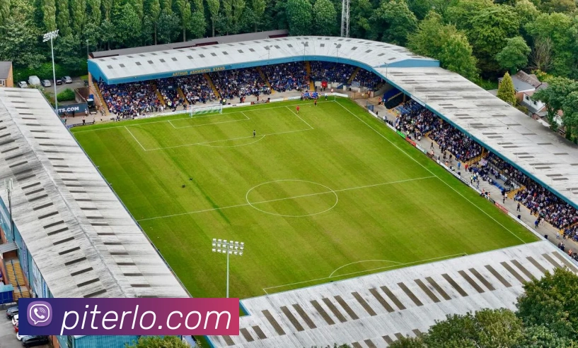 问鼎pg入口网址大全平台生态图